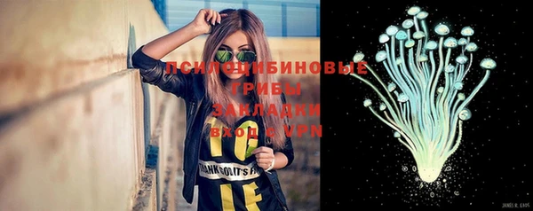 винт Нея