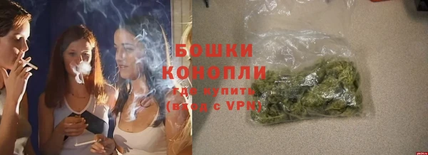 винт Нея