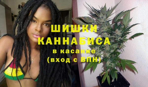 винт Нея