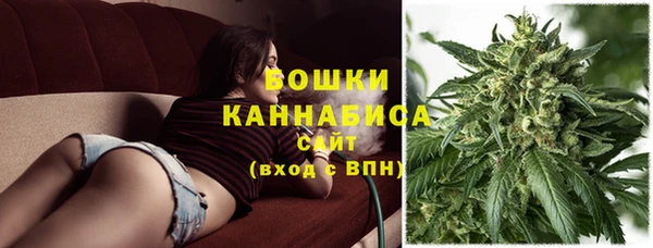 ешки Новозыбков